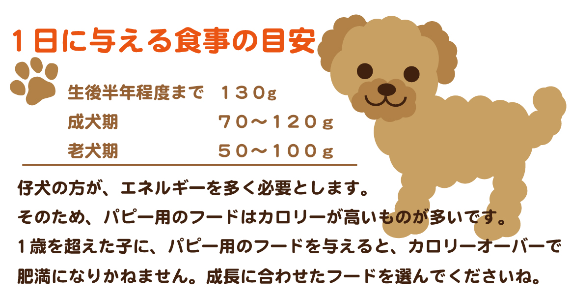 トイプードルが太ってきた、、効果的なダイエット方法は?