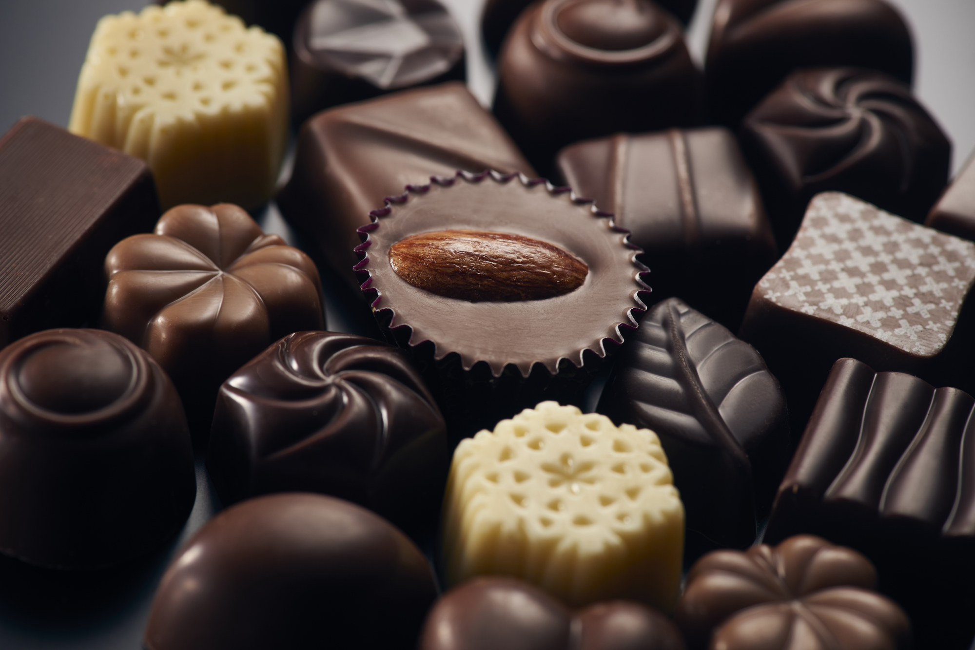 トイプードルにチョコレートは絶対にあげちゃダメ 中毒症状と対処方法 Petpet Life