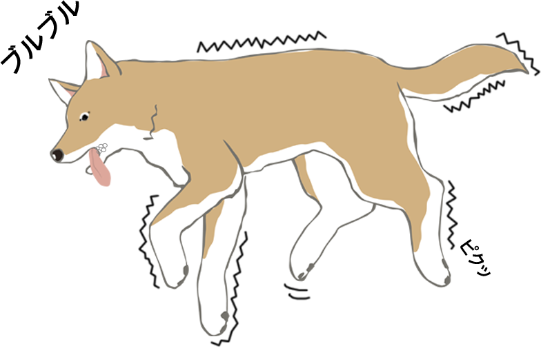 痙攣する犬