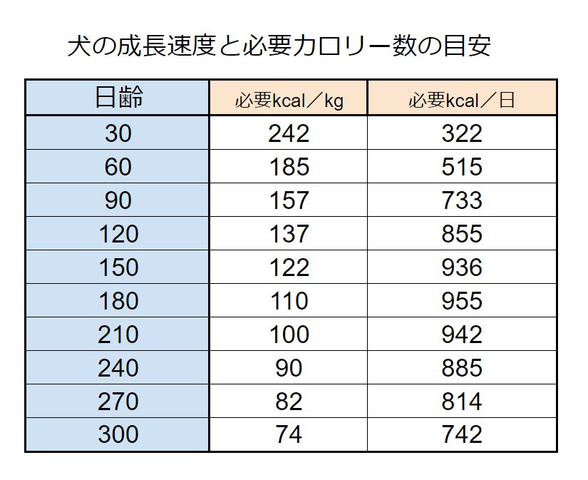 トイプードルの赤ちゃんの上手な育て方 Petpet Life