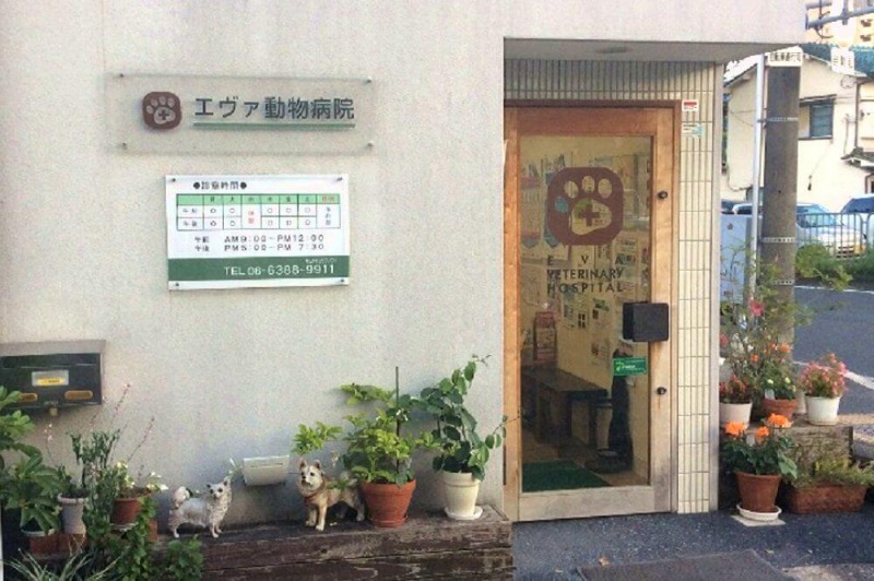 画像説明 画像説明