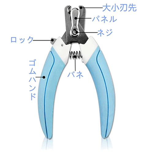 これでマルチーズの爪切りはバッチリ!自宅での爪切りのやり方
