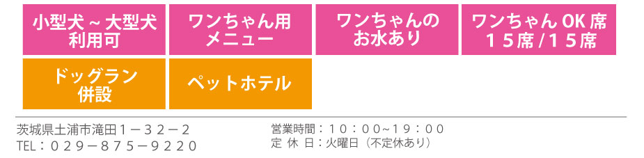 WANDRY情報