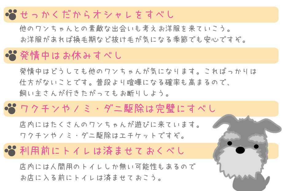 ワンちゃんのマナー