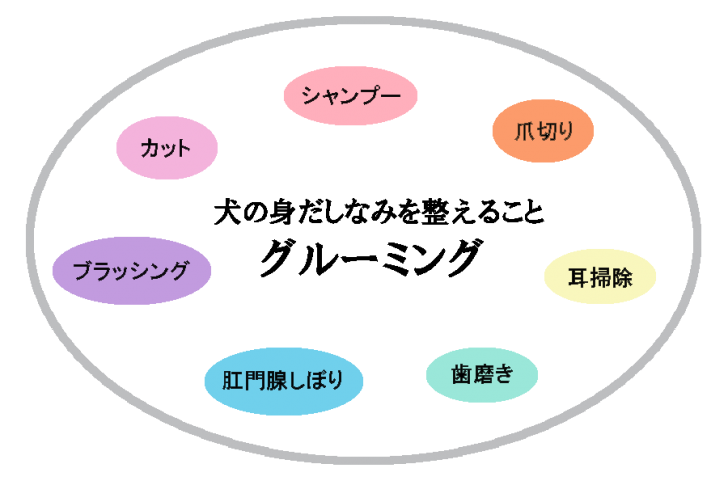 グルーミングの表 グルーミングの表