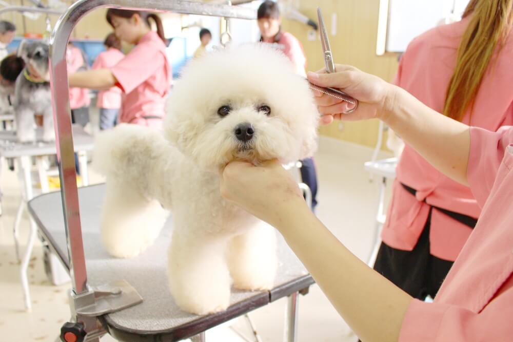 画像説明 画像説明