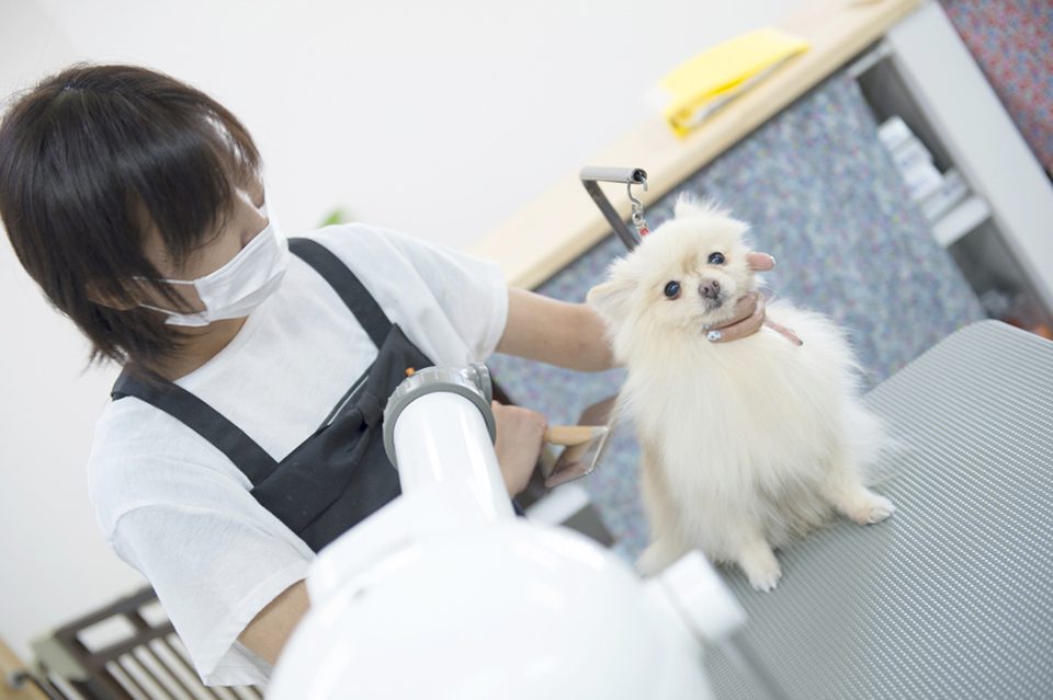 画像説明 画像説明