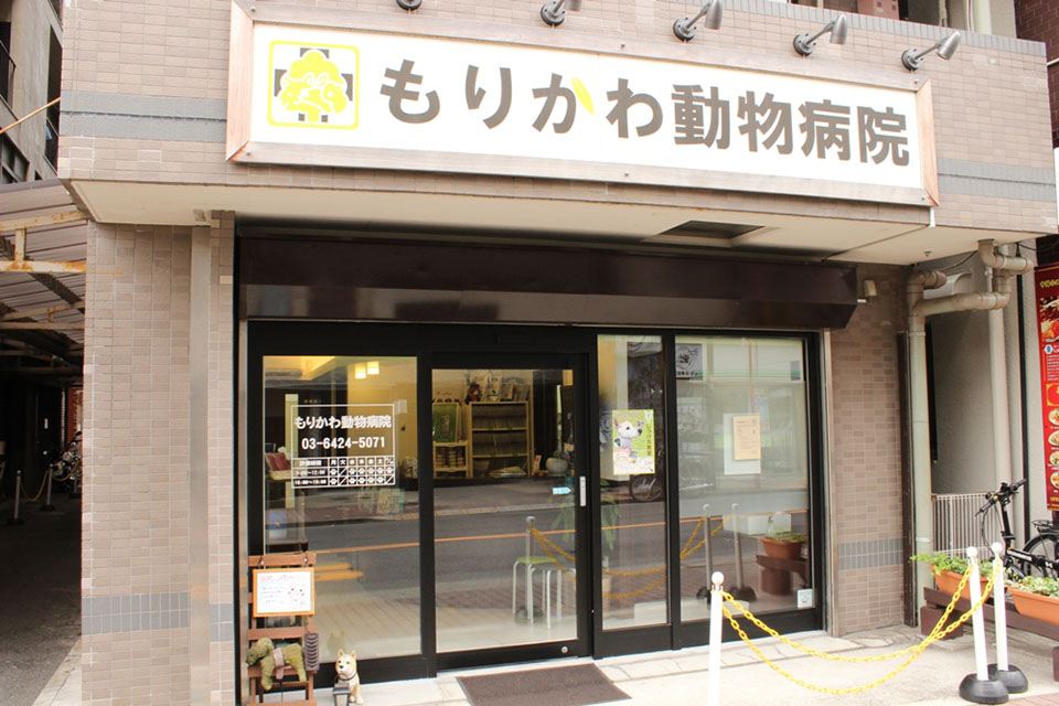 画像説明 画像説明