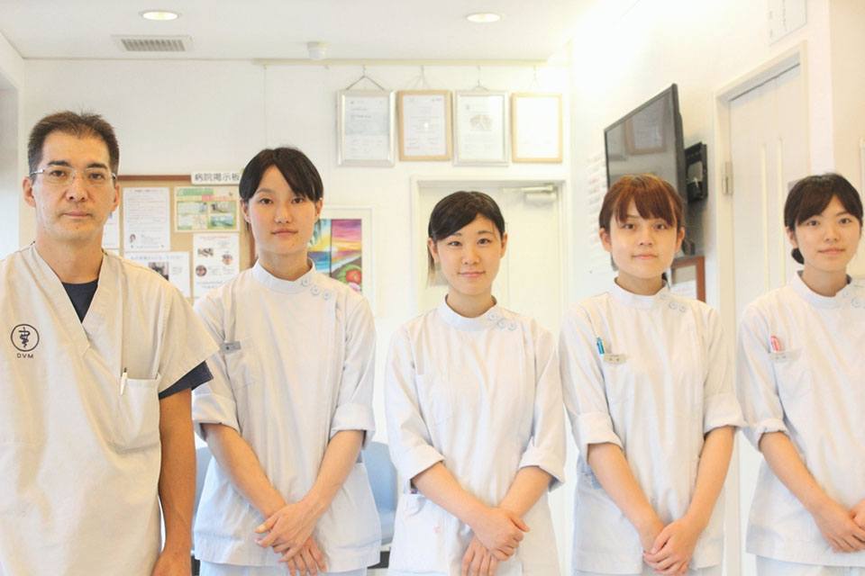画像説明 画像説明