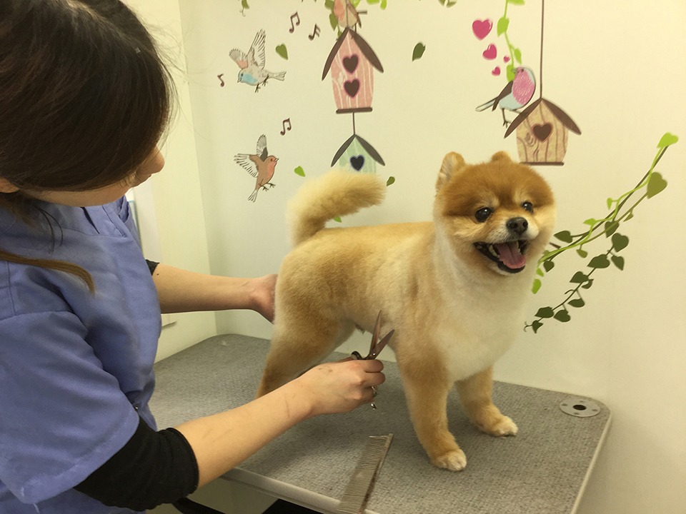 画像説明 画像説明