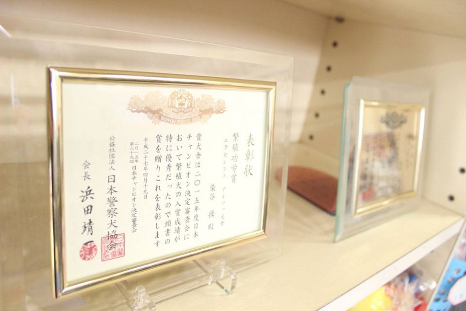 画像説明 画像説明