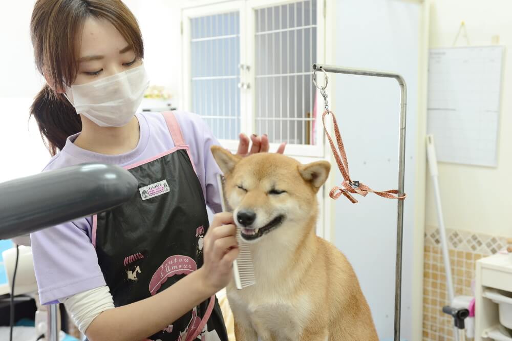 画像説明 画像説明