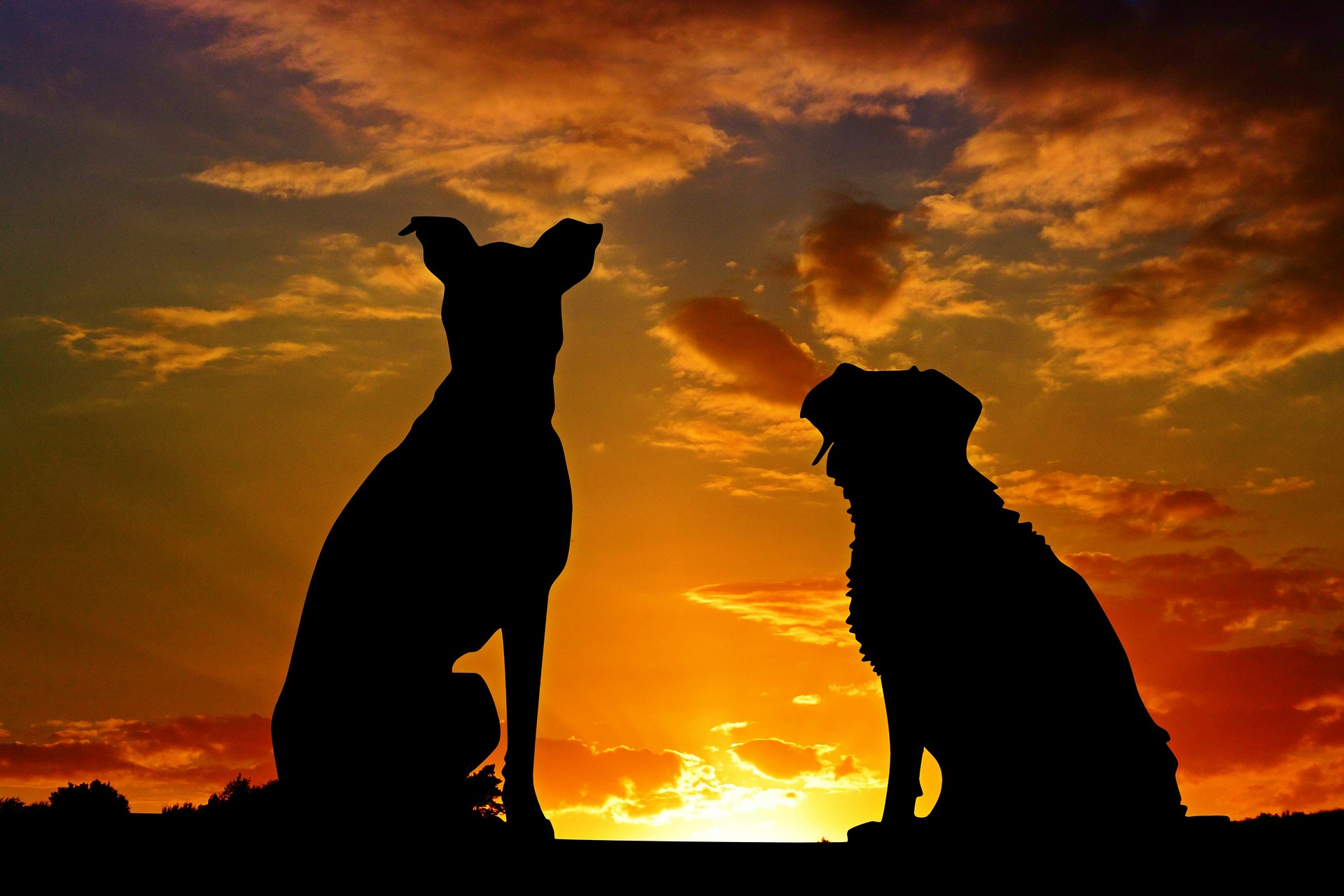 犬のシルエット 犬のシルエット