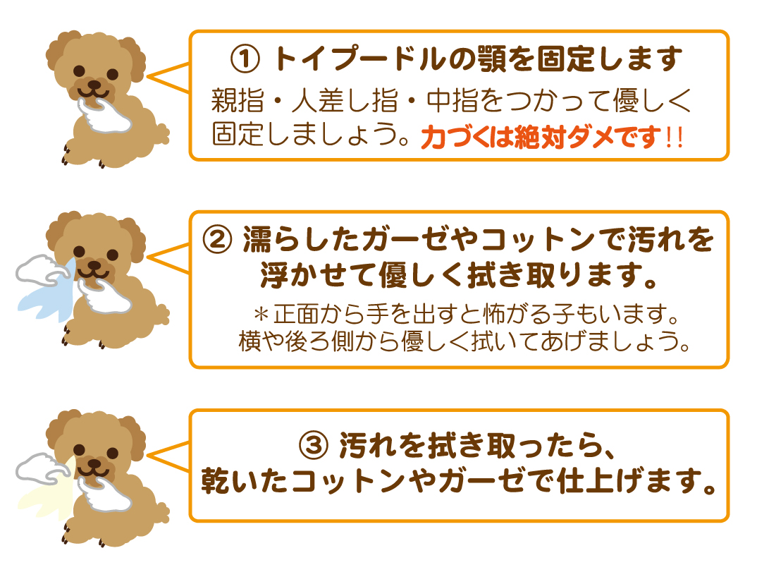 愛犬のトイプードルの目が腫れている。これって目の病気?