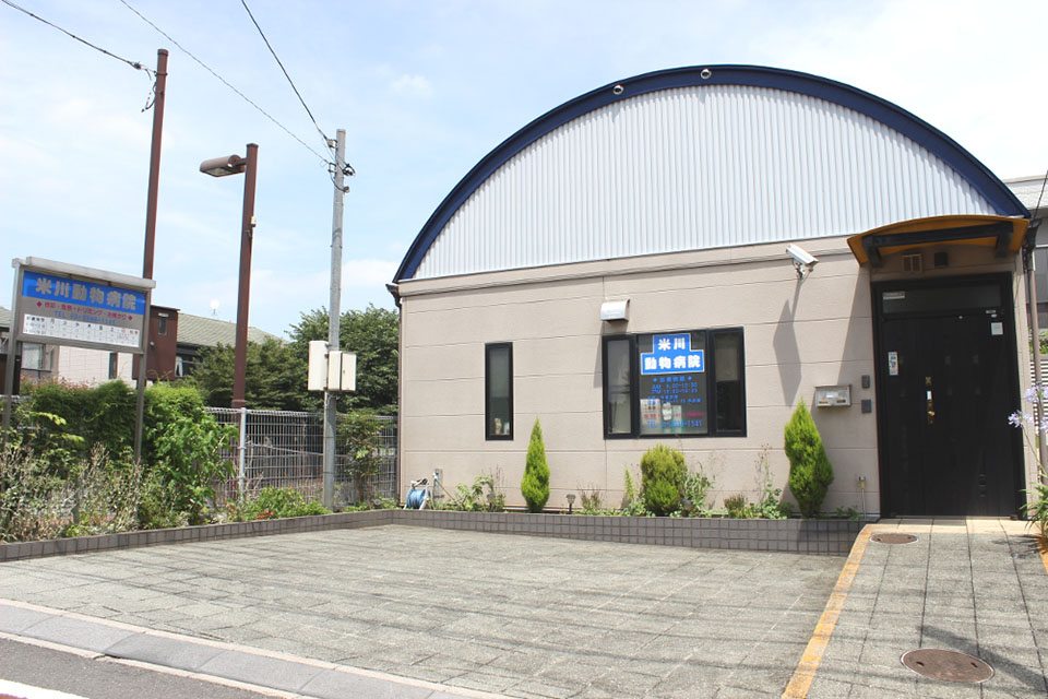 米川動物病院 米川動物病院