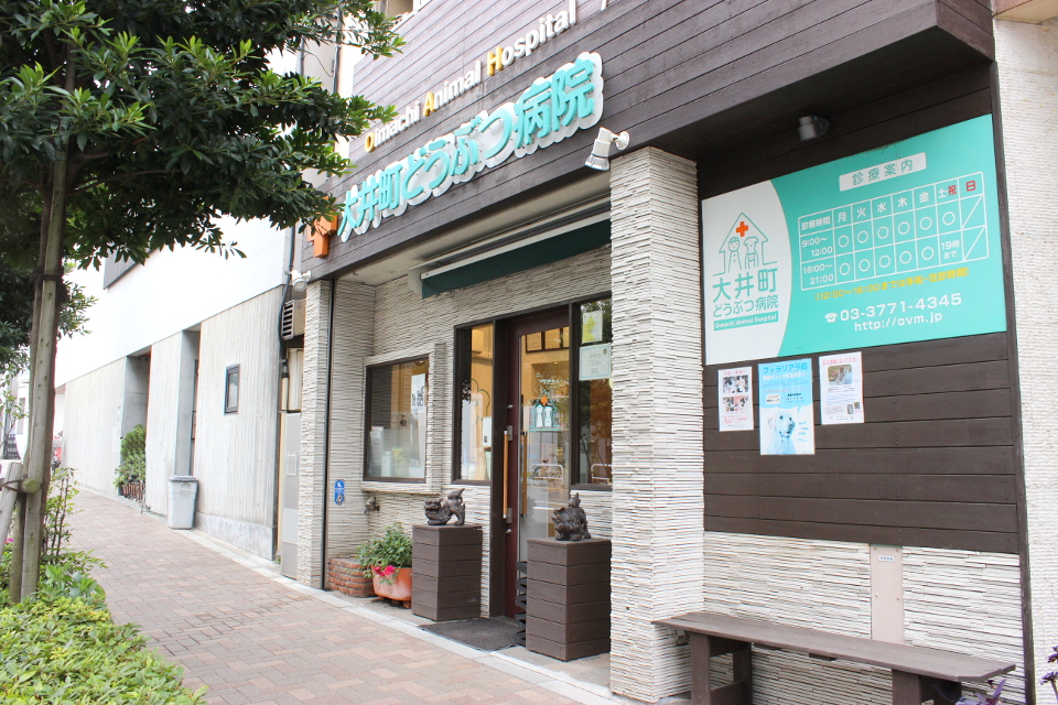 大井町どうぶつ病院 大井町どうぶつ病院