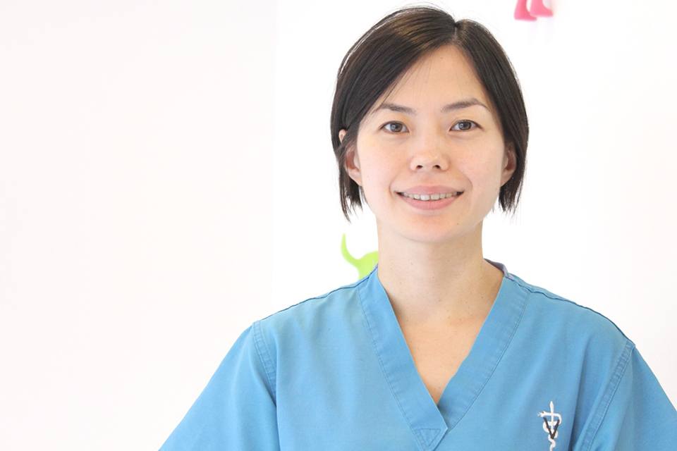 アビス動物病院 アビス動物病院