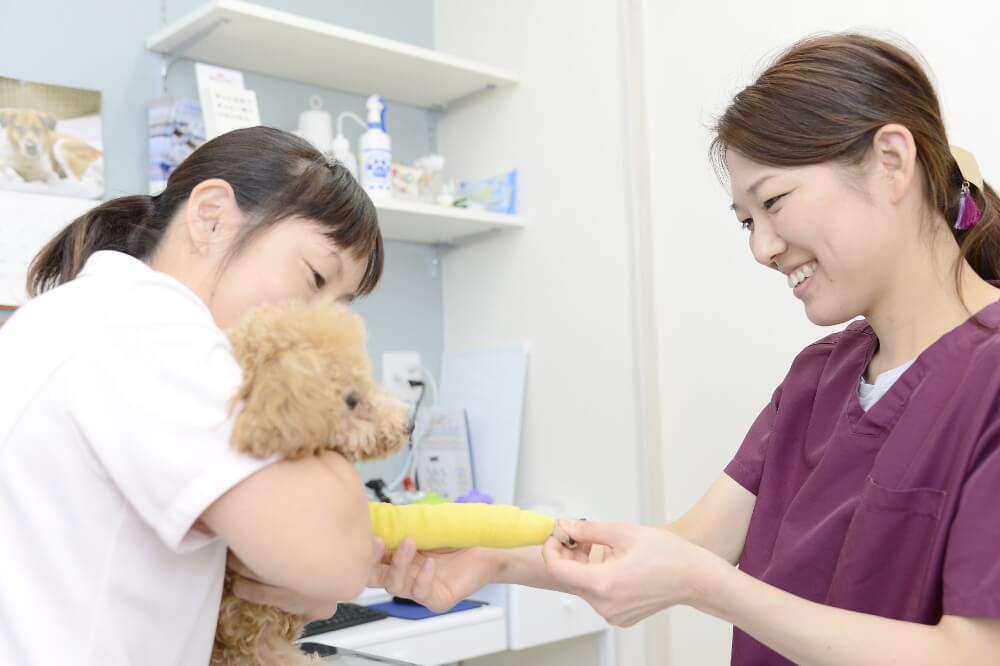右京動物病院 HEALTH CARE CENTER 右京動物病院 HEALTH CARE CENTER