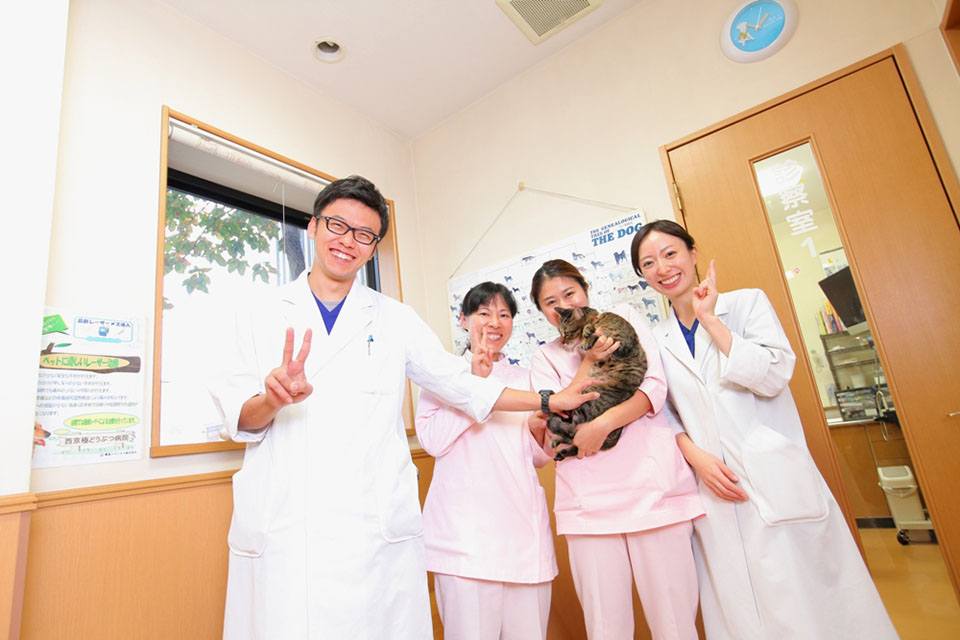 西京極どうぶつ病院 西京極どうぶつ病院