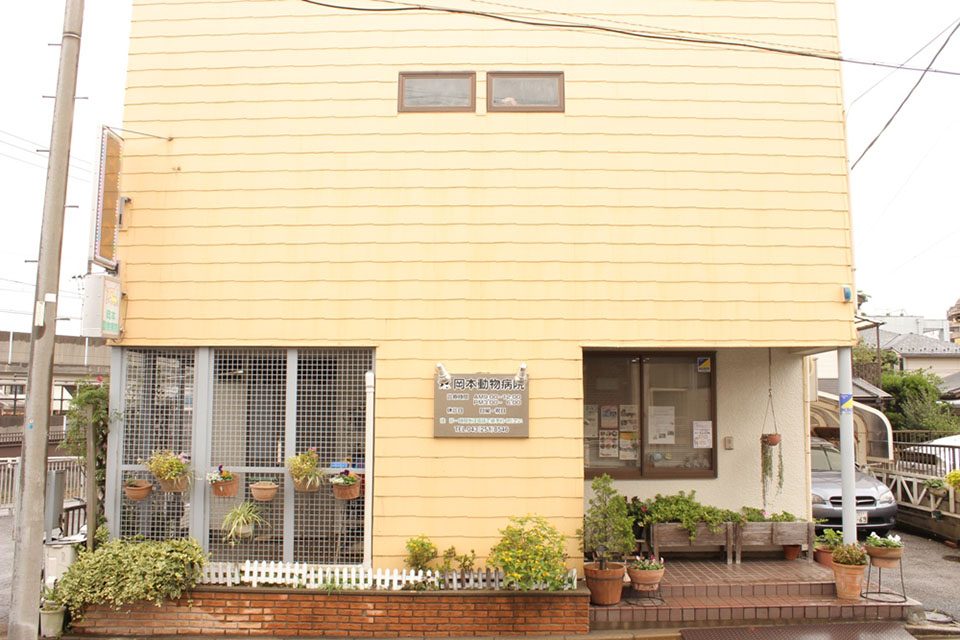 岡本動物病院(トリミング) 岡本動物病院(トリミング)
