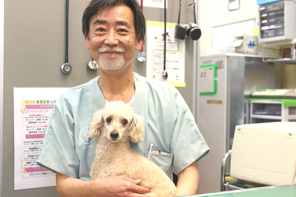 もとい動物病院 もとい動物病院