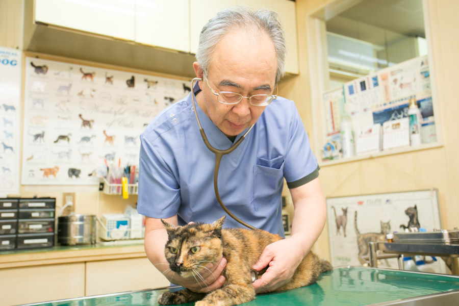 クロス動物病院 クロス動物病院