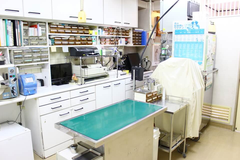 マツモト動物病院 マツモト動物病院