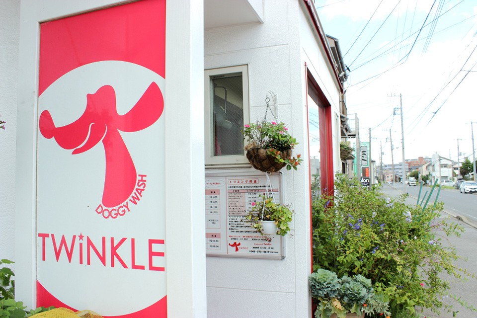 Doggy Wash Twinkle Doggy Wash Twinkle