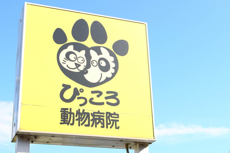 画像説明 画像説明