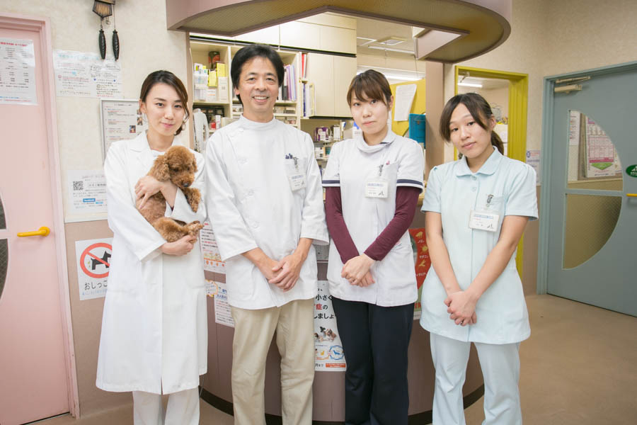 かそり動物病院(トリミング) かそり動物病院(トリミング)