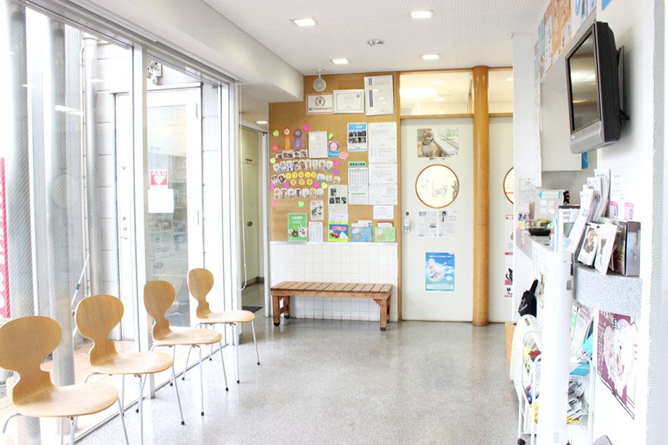 さがみ総合どうぶつ医療センター さがみ総合どうぶつ医療センター