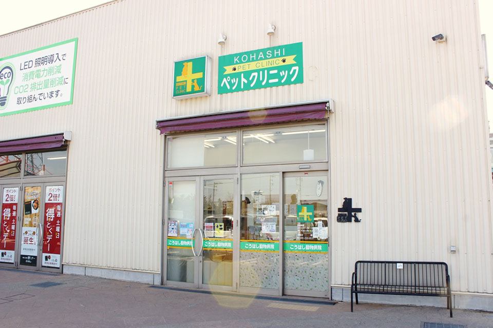 こうはしペットクリニック こうはしペットクリニック