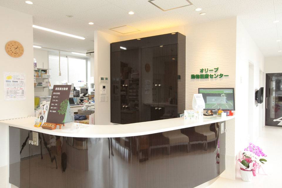 オリーブ動物医療センター オリーブ動物医療センター