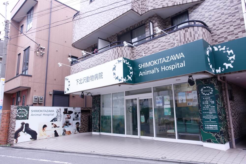 画像説明 画像説明