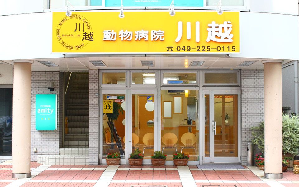 画像説明 画像説明