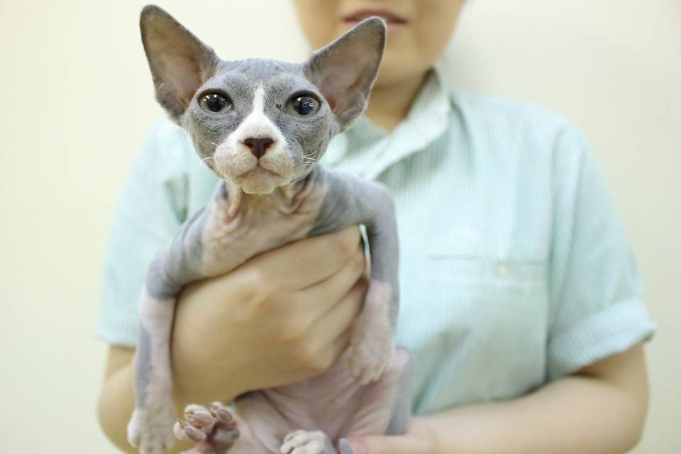 画像説明 画像説明