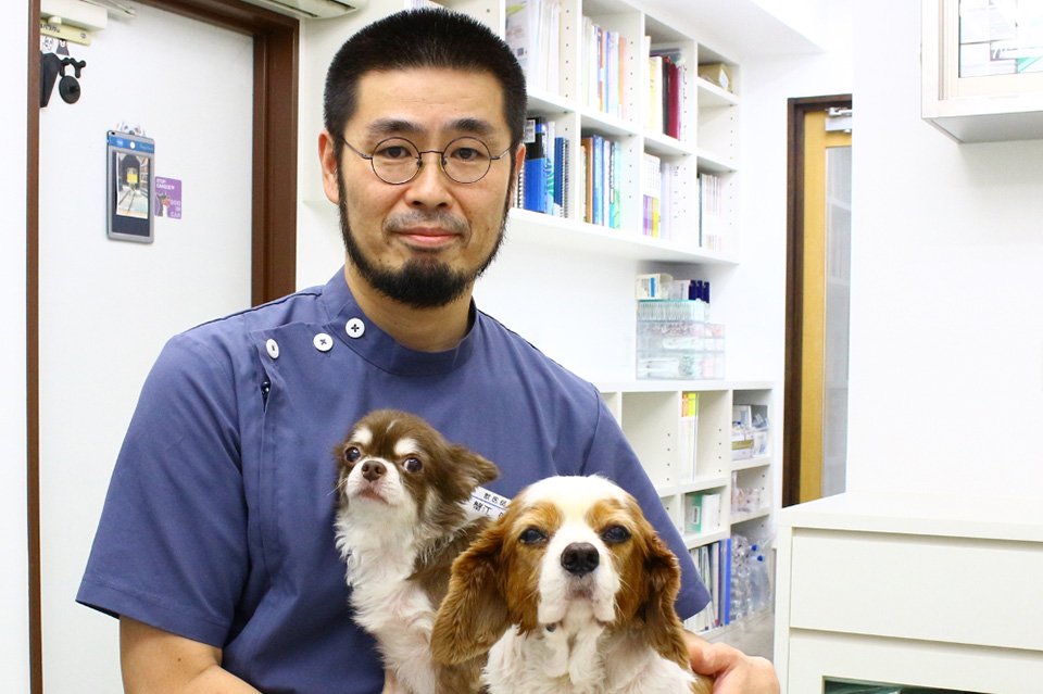 エルム動物病院 エルム動物病院