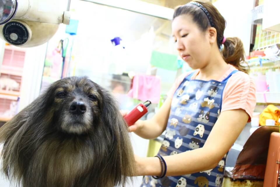 画像説明 画像説明