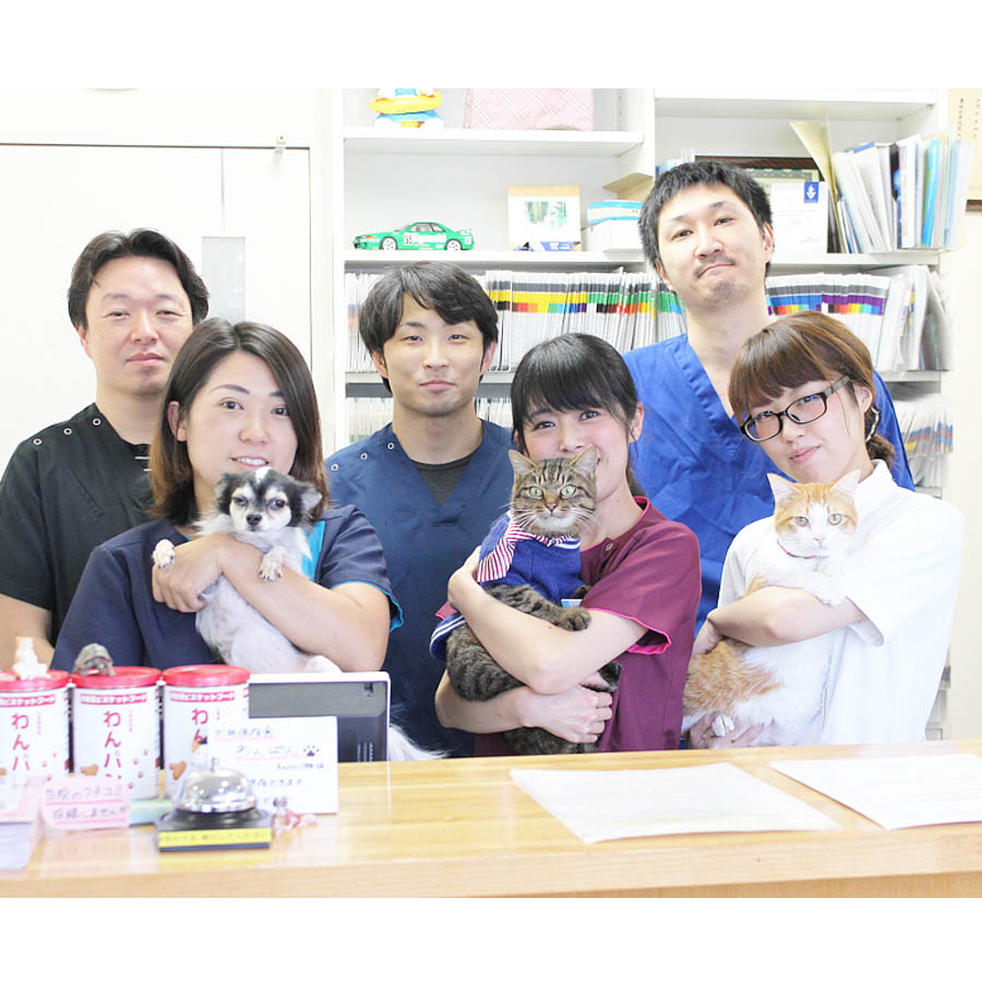 あおき動物病院 あおき動物病院