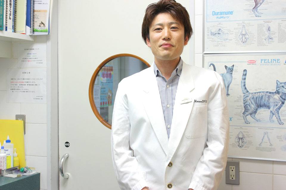 画像説明 画像説明