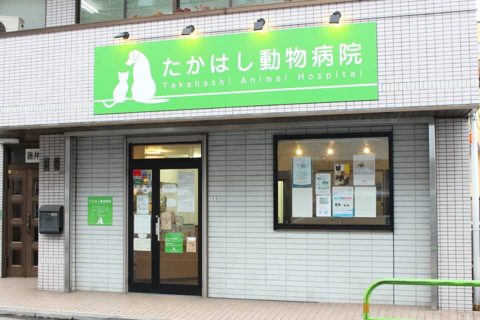 画像説明 画像説明