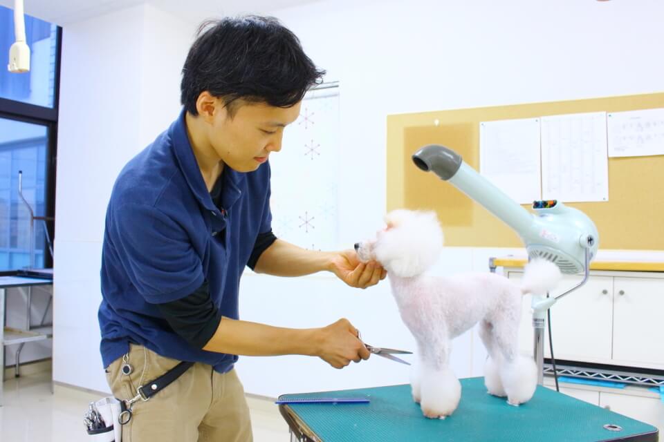 画像説明 画像説明