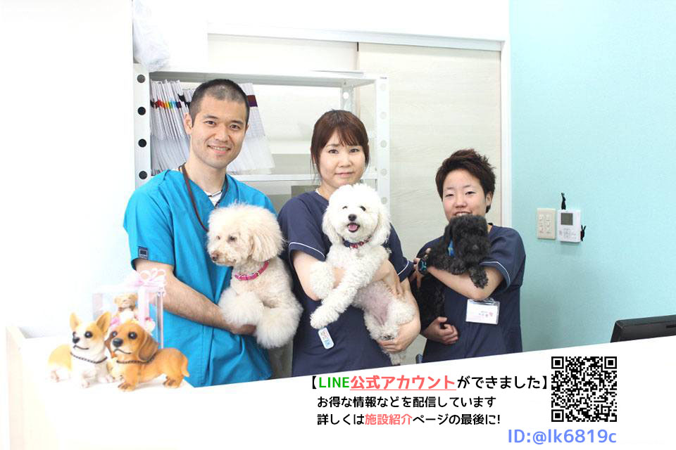 マリア動物病院 マリア動物病院