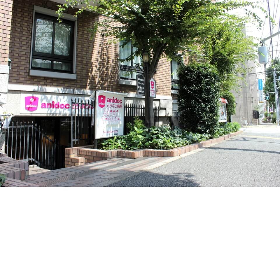 anidocどうぶつ病院 世田谷 anidocどうぶつ病院 世田谷