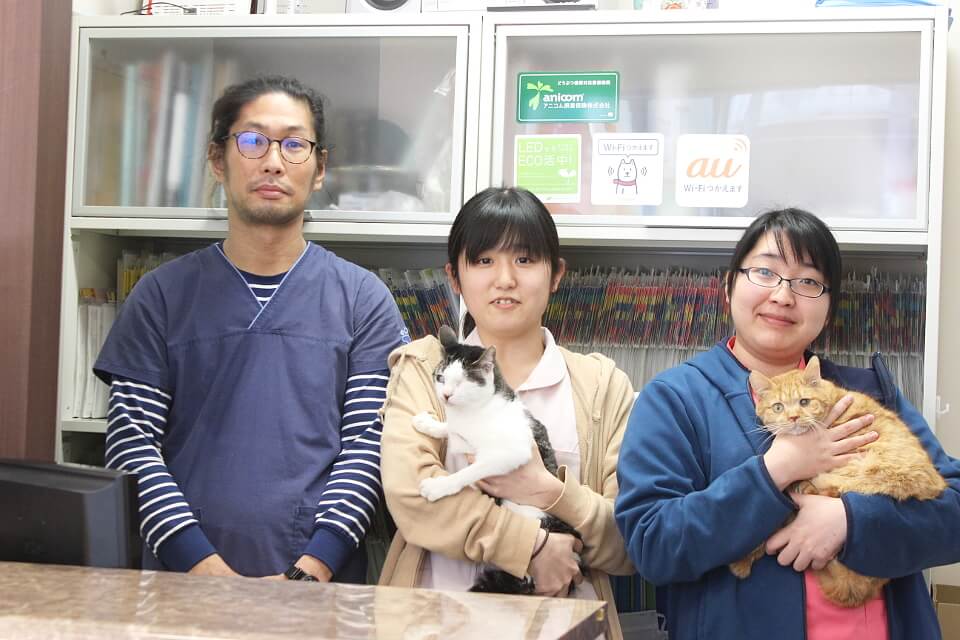 画像説明 画像説明