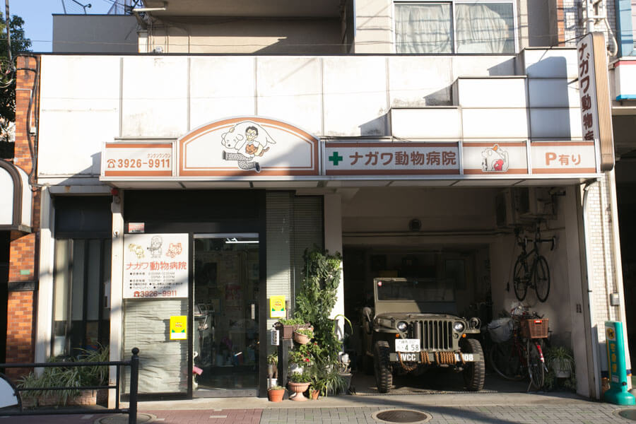 ナガワ動物病院 ナガワ動物病院