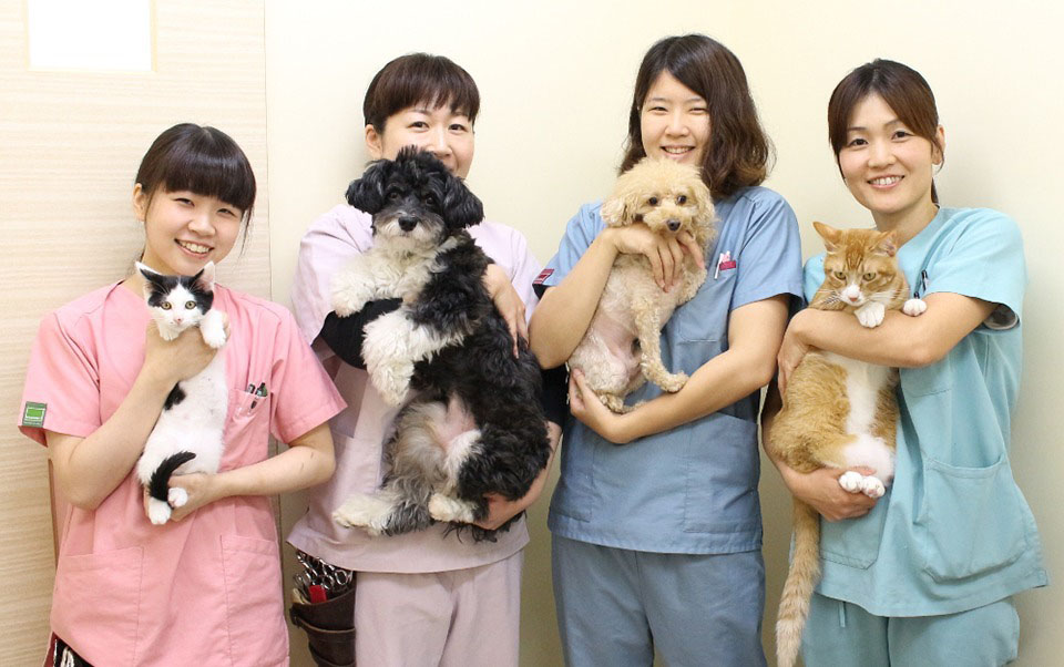 なないろ動物病院 なないろ動物病院