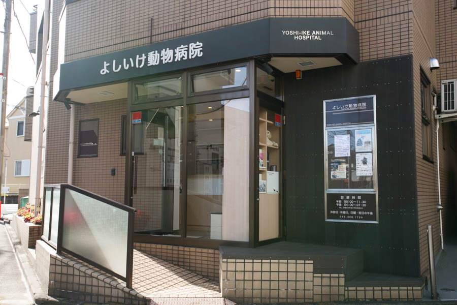 画像説明 画像説明