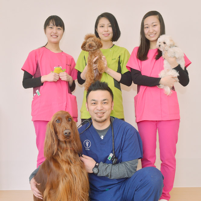 いけぶくろ動物病院(トリミング) いけぶくろ動物病院(トリミング)
