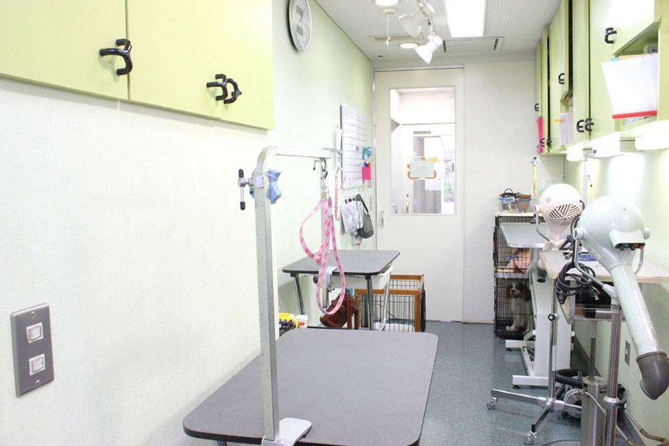 さがみ総合どうぶつ医療センター(トリミング) さがみ総合どうぶつ医療センター(トリミング)